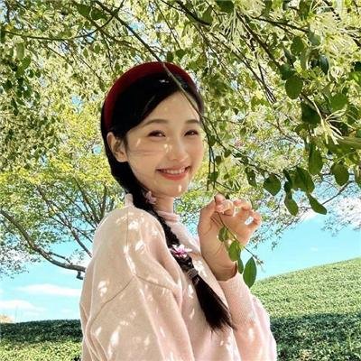 间谍过家家第二季